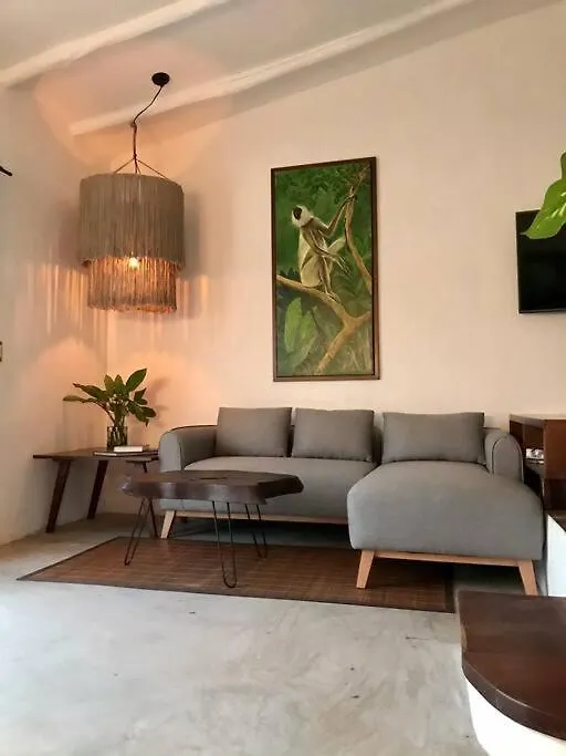 Loft Las Marias .Diseno & Confort. Mahahual