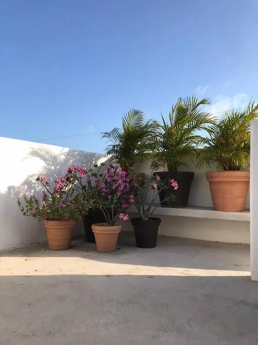Loft Las Marias .Diseno & Confort. Mahahual Apartment